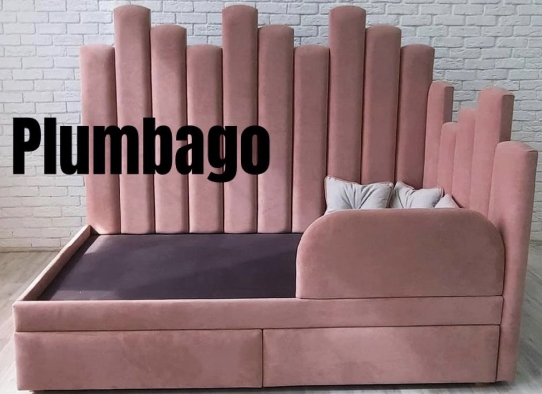 PLUMBAGO